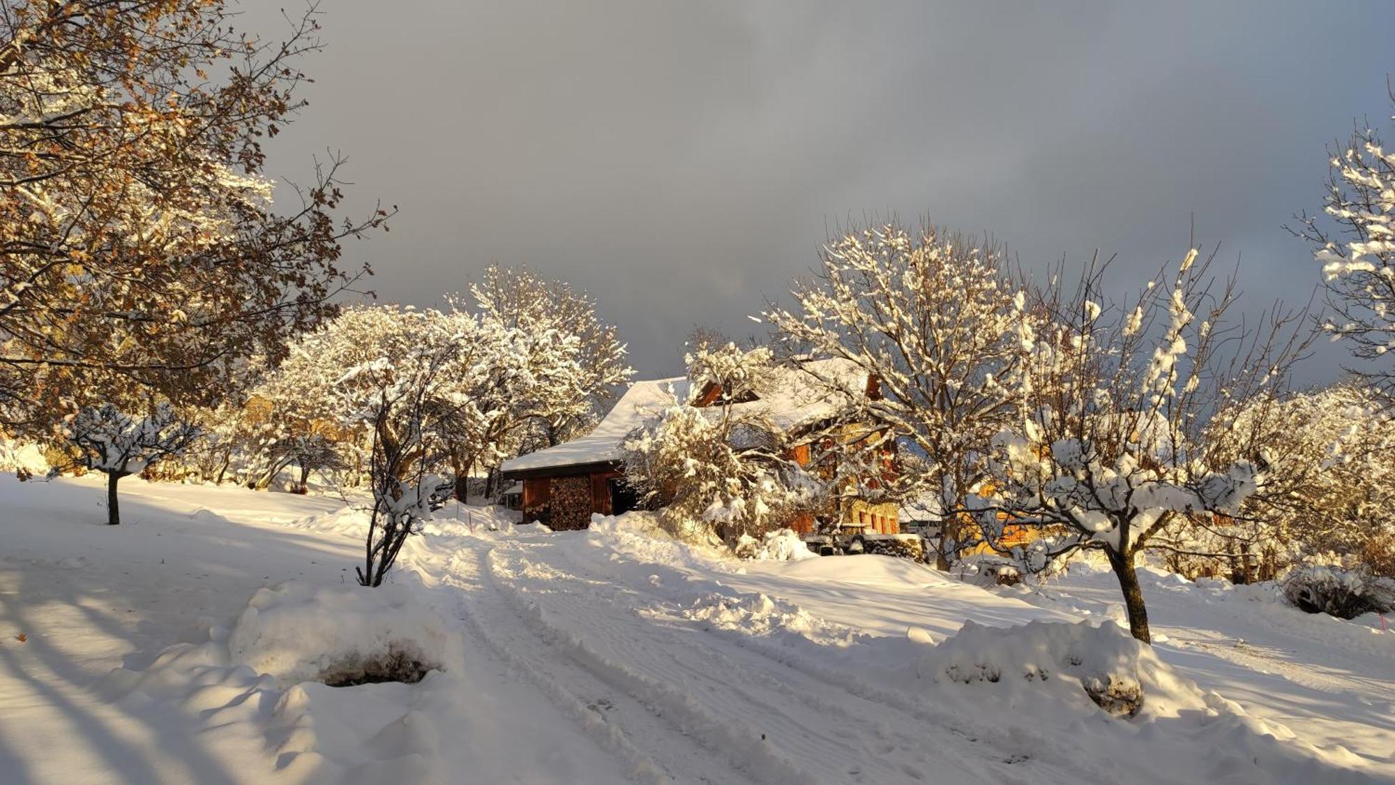 Chalet Mounette Ski Sauna Lac Embrun Puy-Sanieres Dış mekan fotoğraf